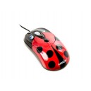 Coccinella